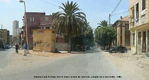 ORAN 2009 pano avenue des Palmiers Gambetta